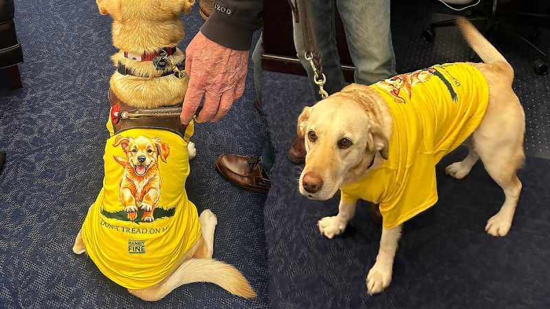 Rep Randy Fine to bring 4-legged guest Sadie to Trump’s State of the Union amid backlash over X post